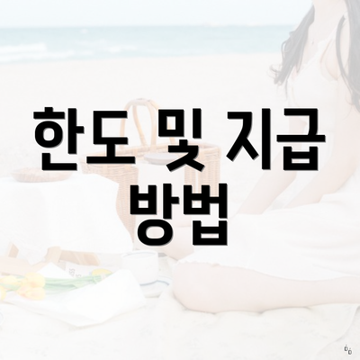 한도 및 지급 방법