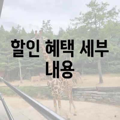 할인 혜택 세부 내용