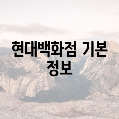 현대백화점 기본 정보