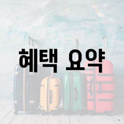 혜택 요약