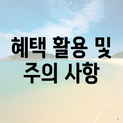 혜택 활용 및 주의 사항