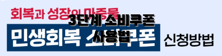 3단계 소비쿠폰 사용법