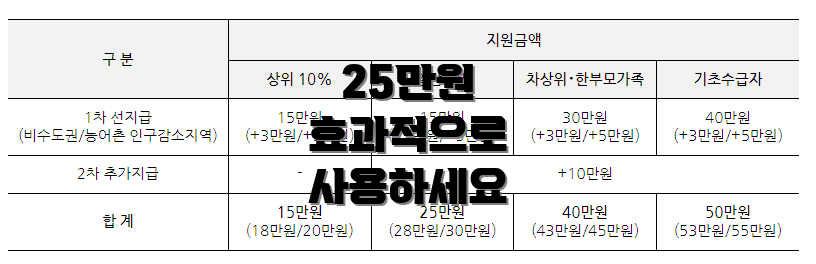 25만원 효과적으로 사용하세요