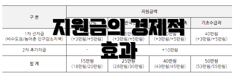 지원금의 경제적 효과