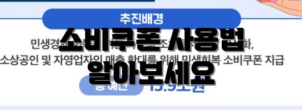 소비쿠폰 사용법 알아보세요