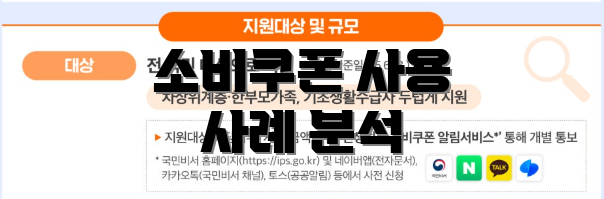 소비쿠폰 사용 사례 분석