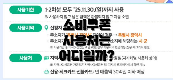 소비쿠폰 사용처는 어디일까?