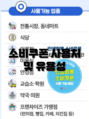 소비쿠폰 사용처 및 유용성