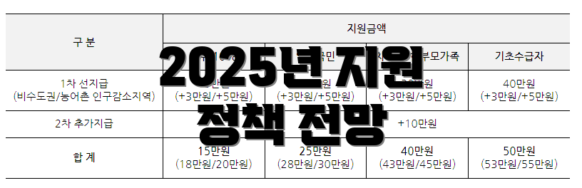 2025년 지원 정책 전망