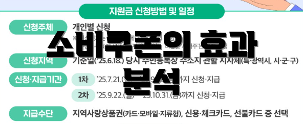 소비쿠폰의 효과 분석