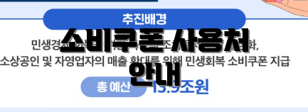 소비쿠폰 사용처 안내