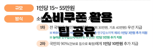 소비쿠폰 활용 팁 공유