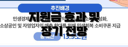 지원금 효과 및 장기 전망